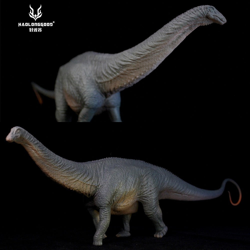 HLG Apatosaurus HuangXin Haolonggood - modello di dinosauro scala 1:35