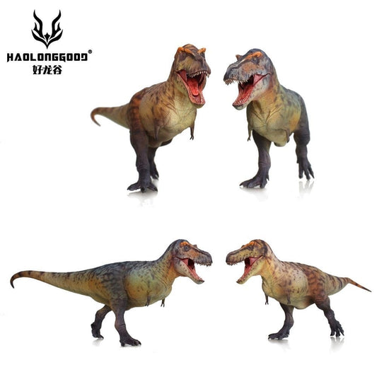 HLG 159-160 Tyrannosaurus rex Haolonggood modello dinosauro 1:35 2 colorazioni