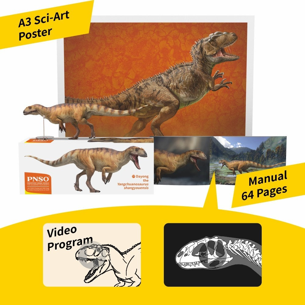 PNSO 2023 Dayong lo Yangchuanosaurus shangyouensis - scala 1:35 mandibola mobile