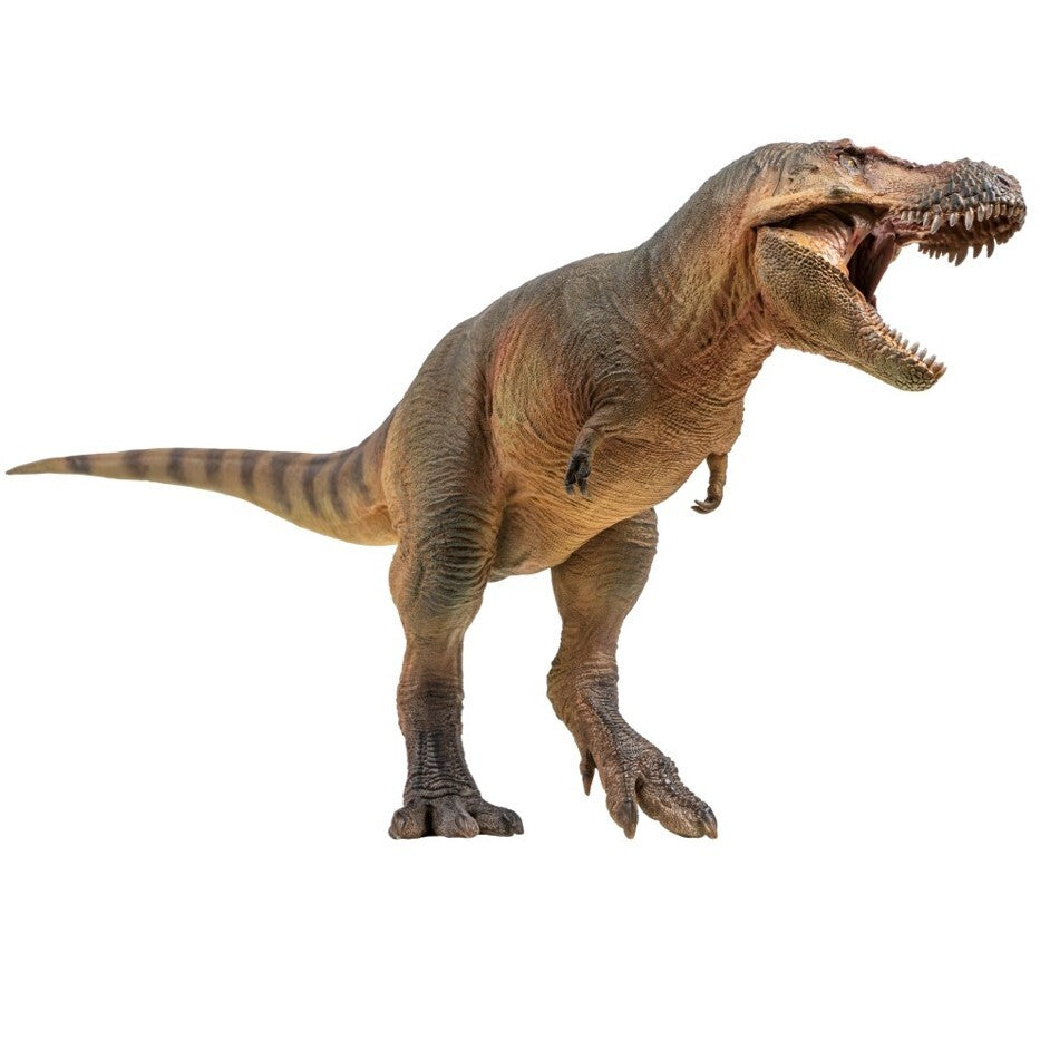 PNSO 2022 Luxiong lo Zhuchengtyrannus - dinosauro scala 1:35 - mandibola mobile