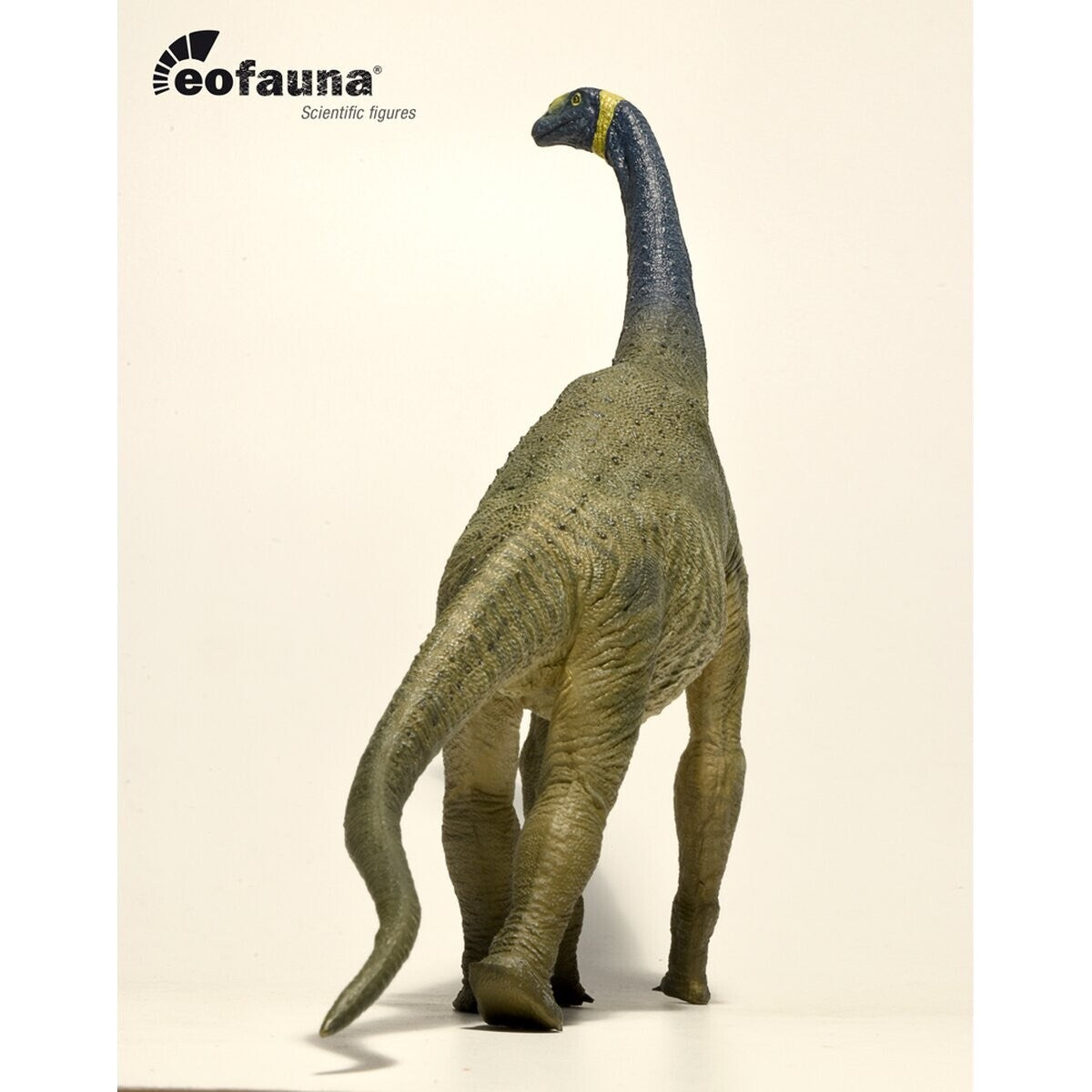 Eofauna Atlasaurus imelakei model 1:40 scale - Modello di Dinosauro sauropode