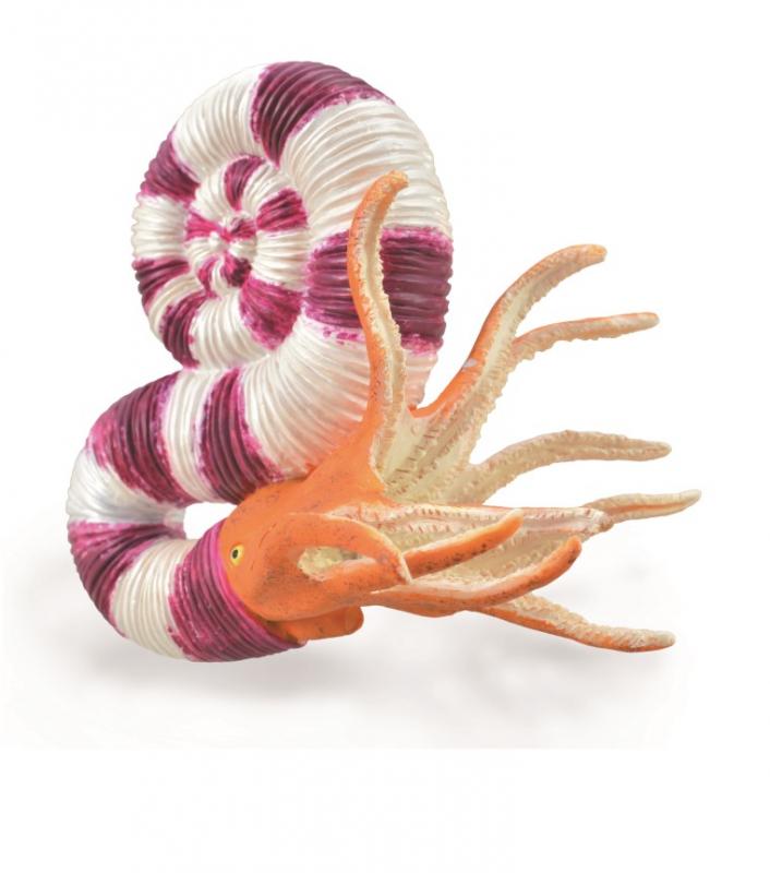 CollectA 88927 Pravitoceras