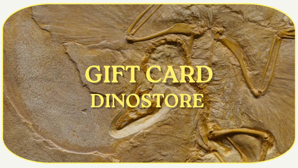 Gift Card Dinostore