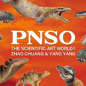 PNSO