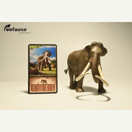 Eofauna 10 Columbian Mammoth - Mammuthus columbi