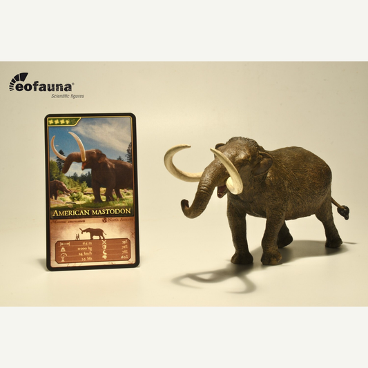 Eofauna 11 American Mastodon - Mammut americanum