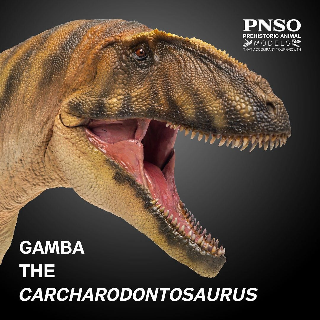 PNSO 2021 Gamba Carcharodontosaurus dinosauro in scala 1:35 - mandibola mobile
