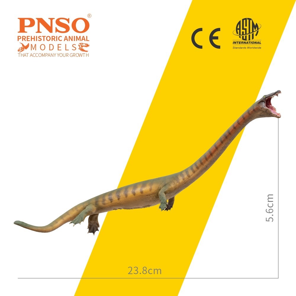 PNSO 2025 Xiaochong the Dinocephalosaurus - modello di rettile marino