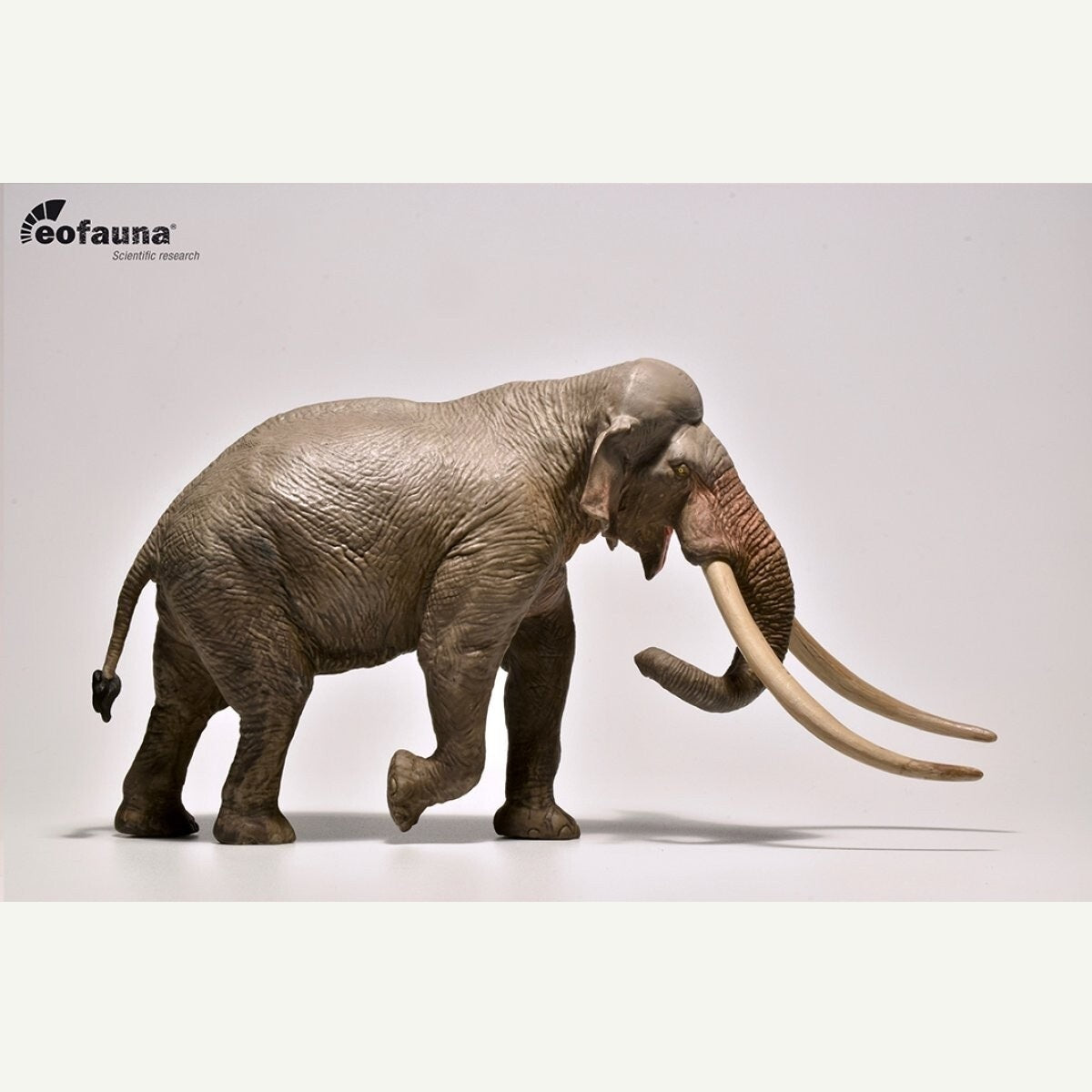 Eofauna 02 Straight-tusked elephant Palaeoloxodon