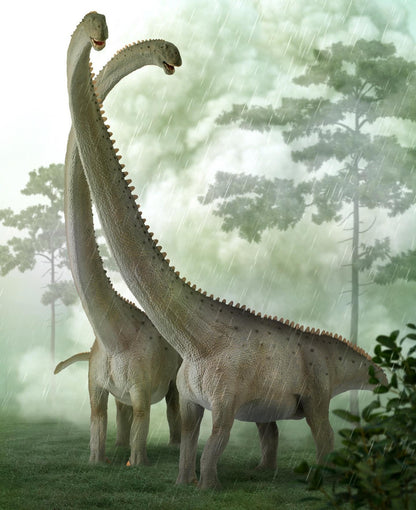 CollectA 88908 2020 Mamenchisaurus model Deluxe 1:100 Scale dinosauro sauropode