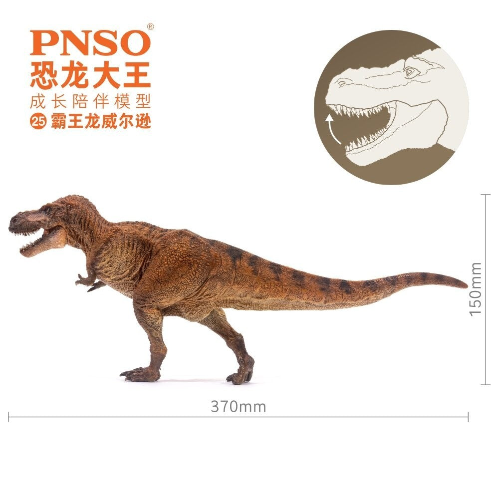 PNSO Wilson the Tyrannosaurus rex - dinosauro in scala 1:35 - mandibola mobile