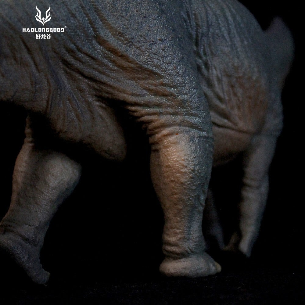 HLG Apatosaurus HuangXin Haolonggood - modello di dinosauro scala 1:35