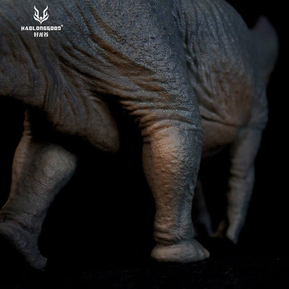 HLG Apatosaurus HuangXin Haolonggood - modello di dinosauro scala 1:35