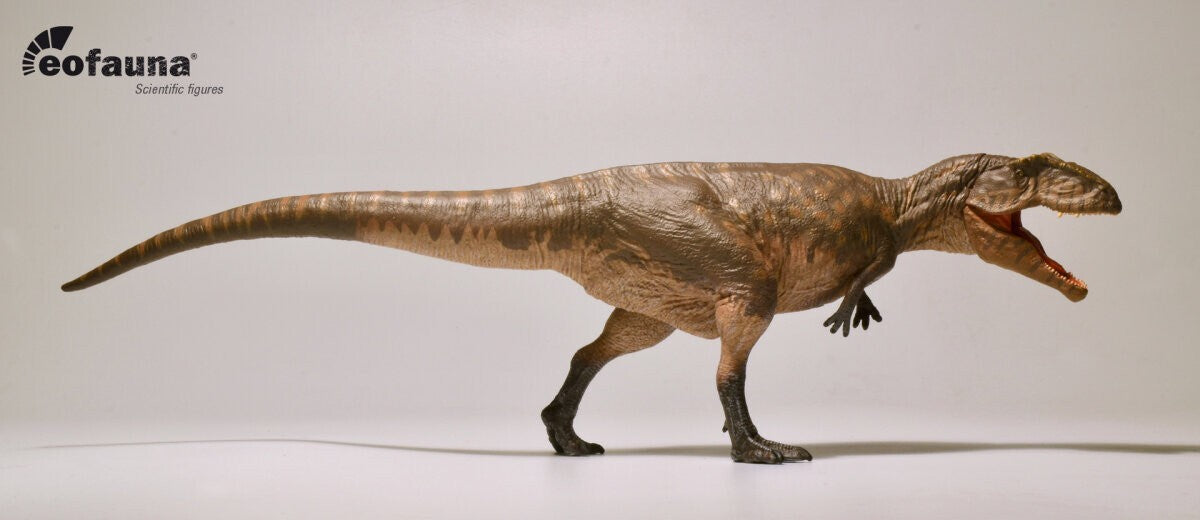 Eofauna Giganotosaurus carolinii - Scala 1:35 - Modello di Dinosauro teropode