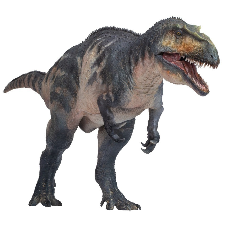 PNSO 2021 Connor il Torvosaurus - dinosauro in scala 1:35 - mandibola mobile