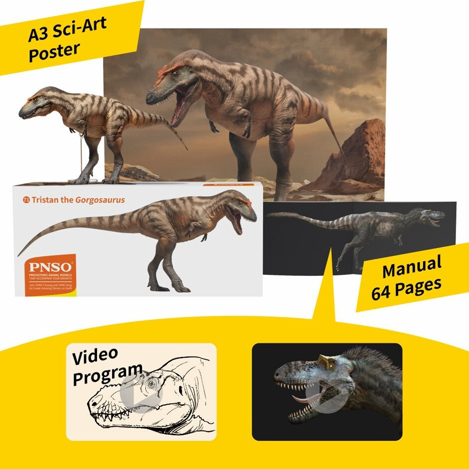 PNSO 2023 Tristan il Gorgosaurus dinosauro in scala 1:35 - mandibola mobile