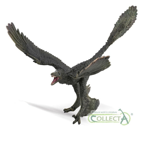 CollectA 88875 2020 Microraptor Deluxe scala 1:6 Modello di dinosauro piumato