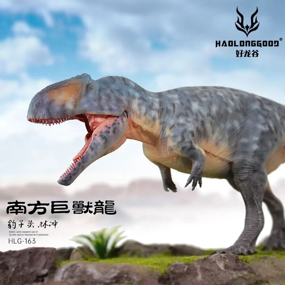 HLG 162-163-165 Giganotosaurus Haolonggood modello dinosauro 1:35 3 colorazioni