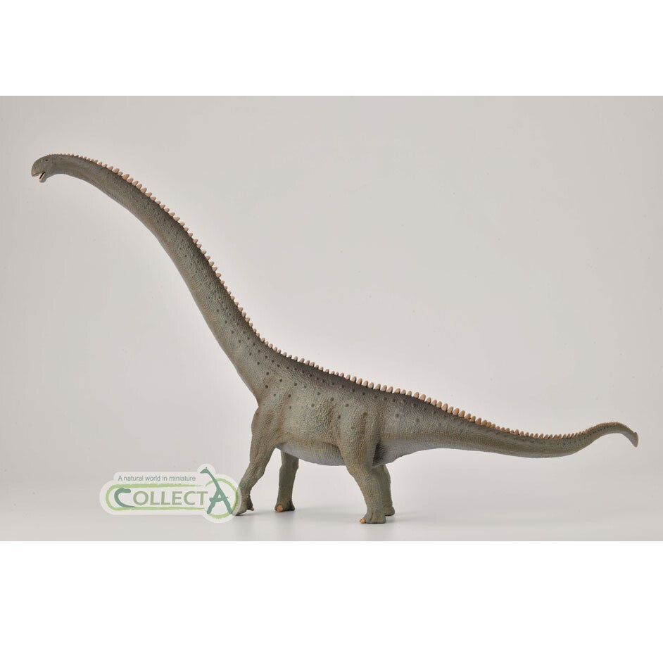 CollectA 88908 2020 Mamenchisaurus model Deluxe 1:100 Scale dinosauro sauropode