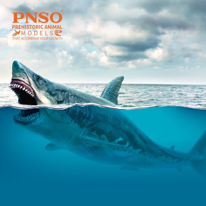 PNSO Patton il Megalodon - modello squalo preistorico