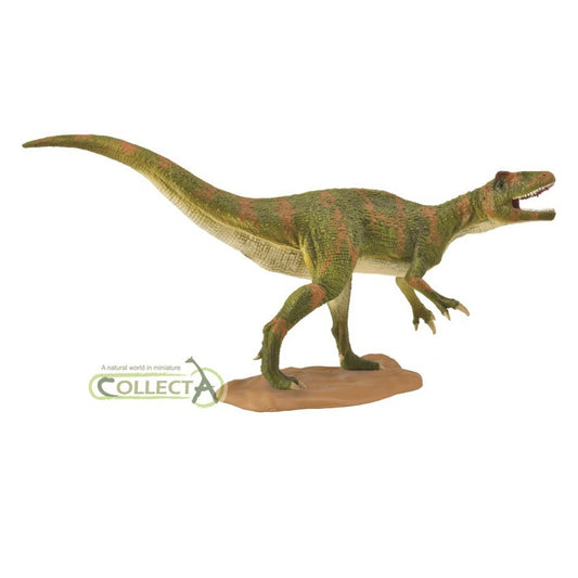 CollectA 88857 2018 Fukuiraptor 1.40 Scale Modello di Dinosauro carnosauro