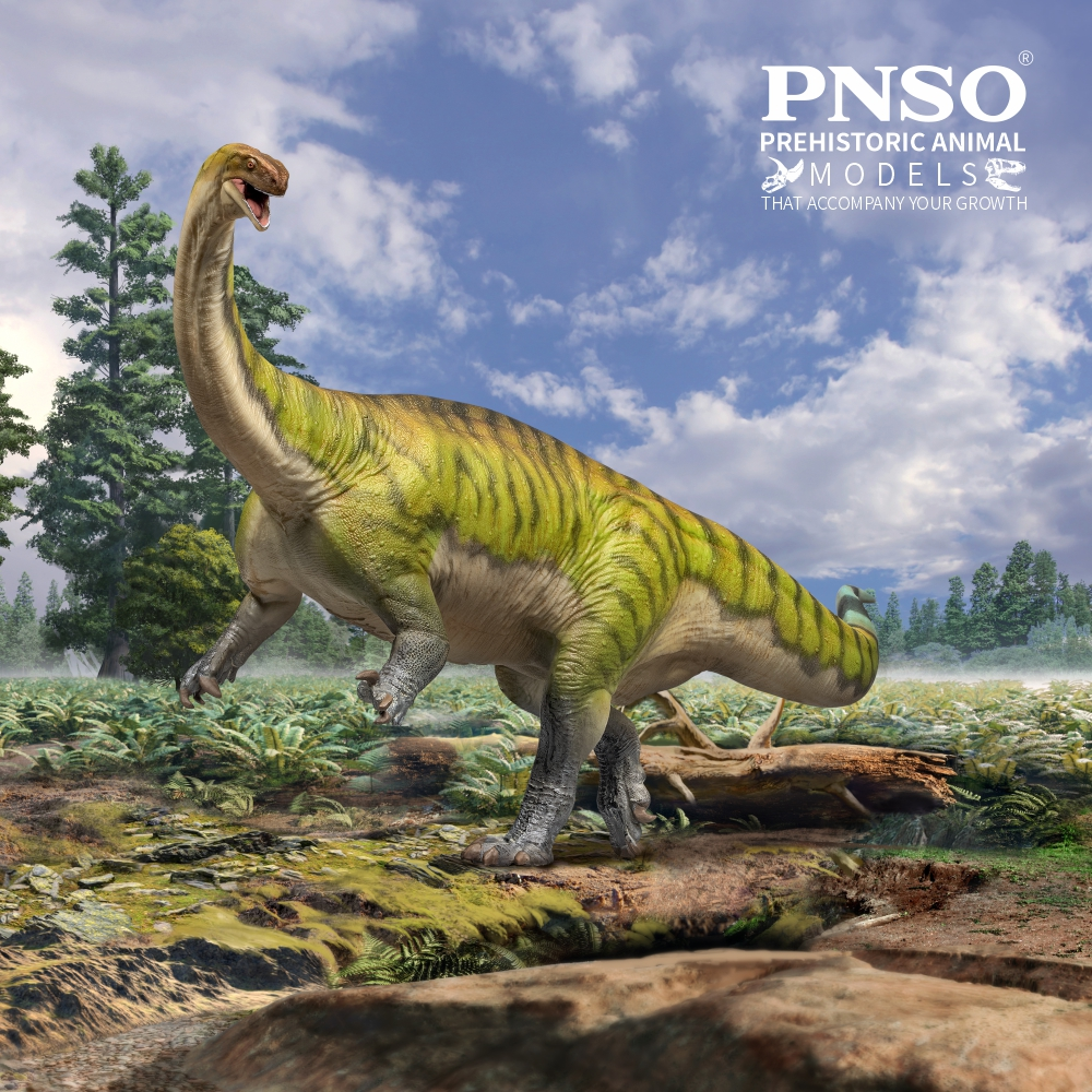 PNSO 2024 Yiran il Lufengosaurus - modello di dinosauro prosauropode