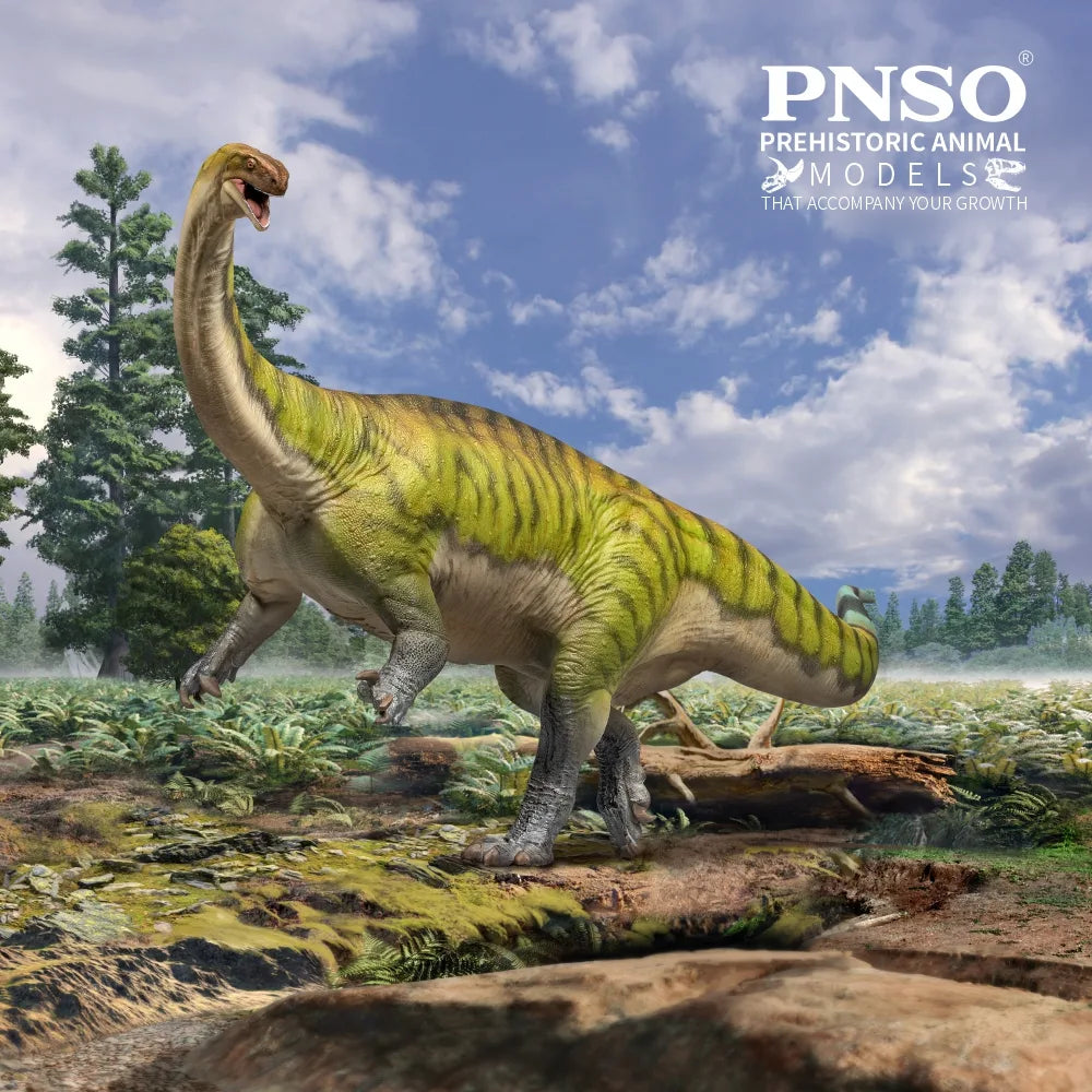 PNSO 81 Yiran the Lufengosaurus