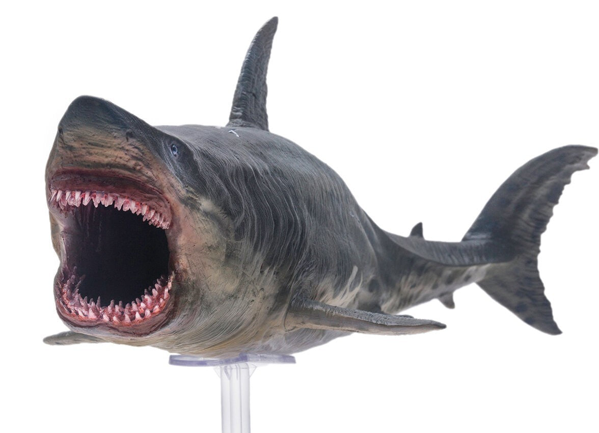 PNSO Patton il Megalodon - modello squalo preistorico