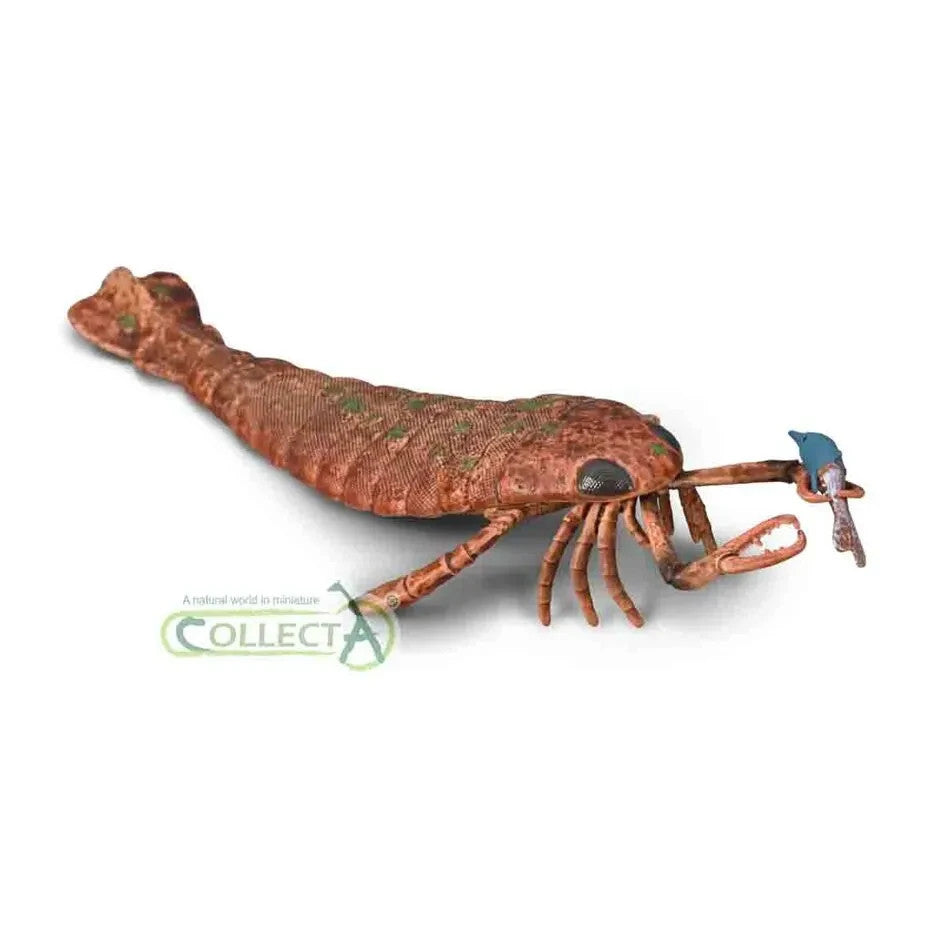 CollectA 80030  Jaekelopterus con preda - modello di artropode in scala 1:20