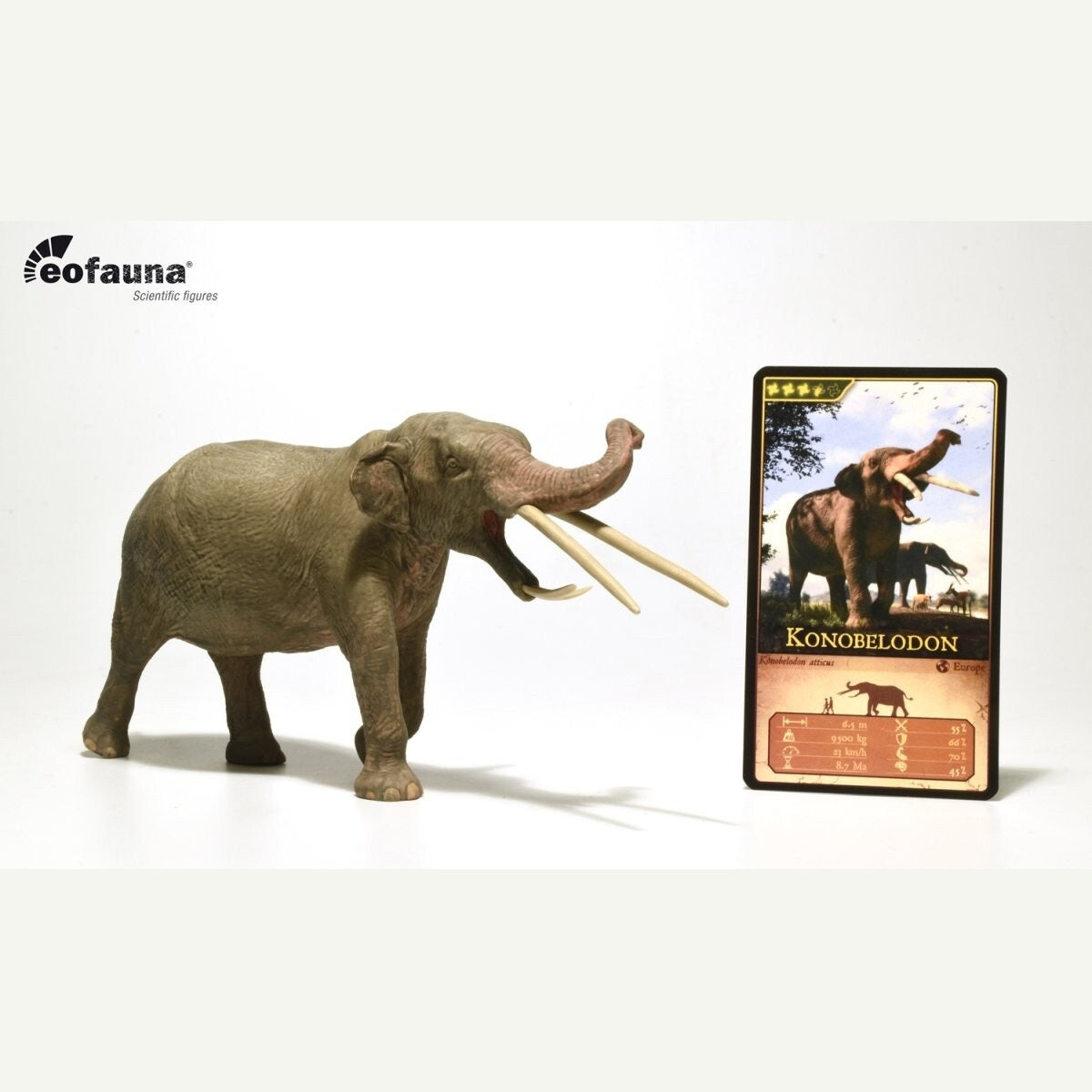 Eofauna 08 Konobelodon atticus