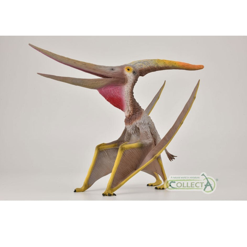 CollectA 88912 Pteranodon Deluxe 1:15 scale Model pterosauro mandibola movibile