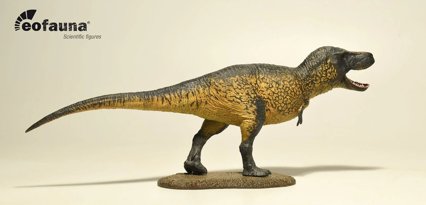Eofauna Tyrannosaurus rex 2024 -  Dinosauro in Scala 1:35 con Mandibola Mobile 