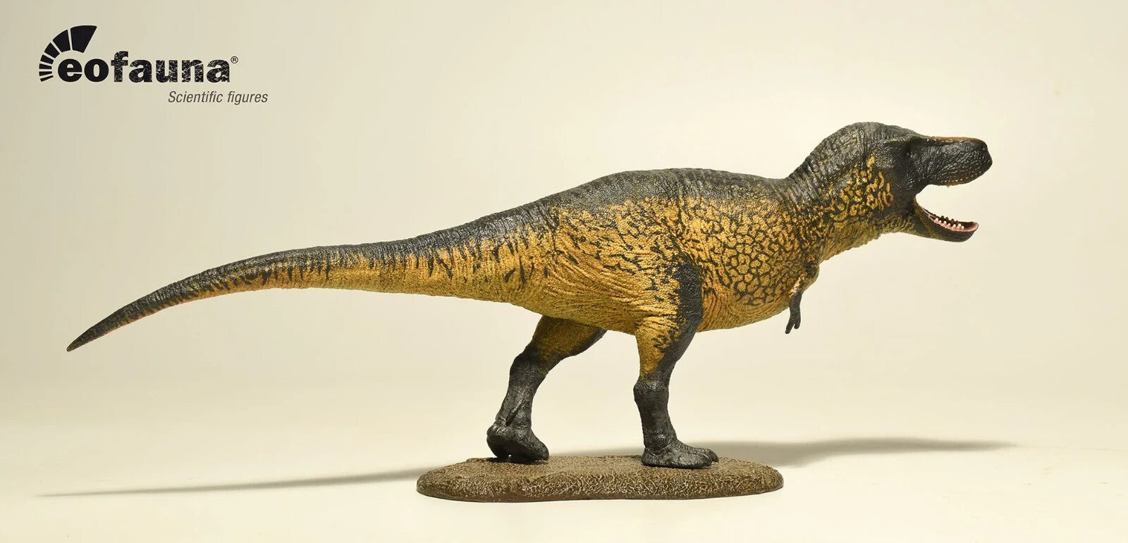 Eofauna Tyrannosaurus rex 2024 -  Dinosauro in Scala 1:35 con Mandibola Mobile 