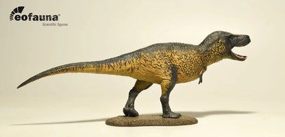 Eofauna Tyrannosaurus rex 2024 -  Dinosauro in Scala 1:35 con Mandibola Mobile 