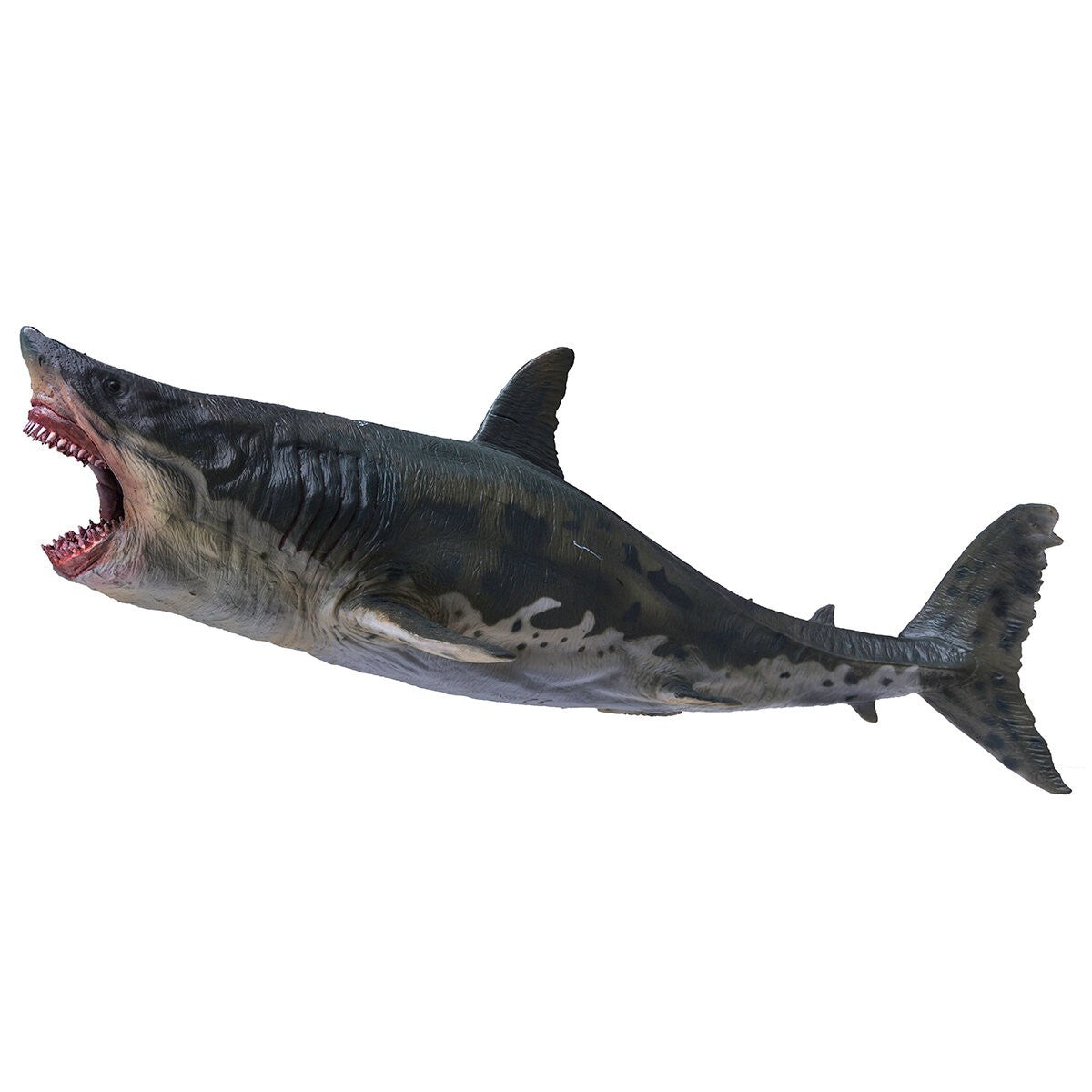 PNSO Patton il Megalodon - modello squalo preistorico