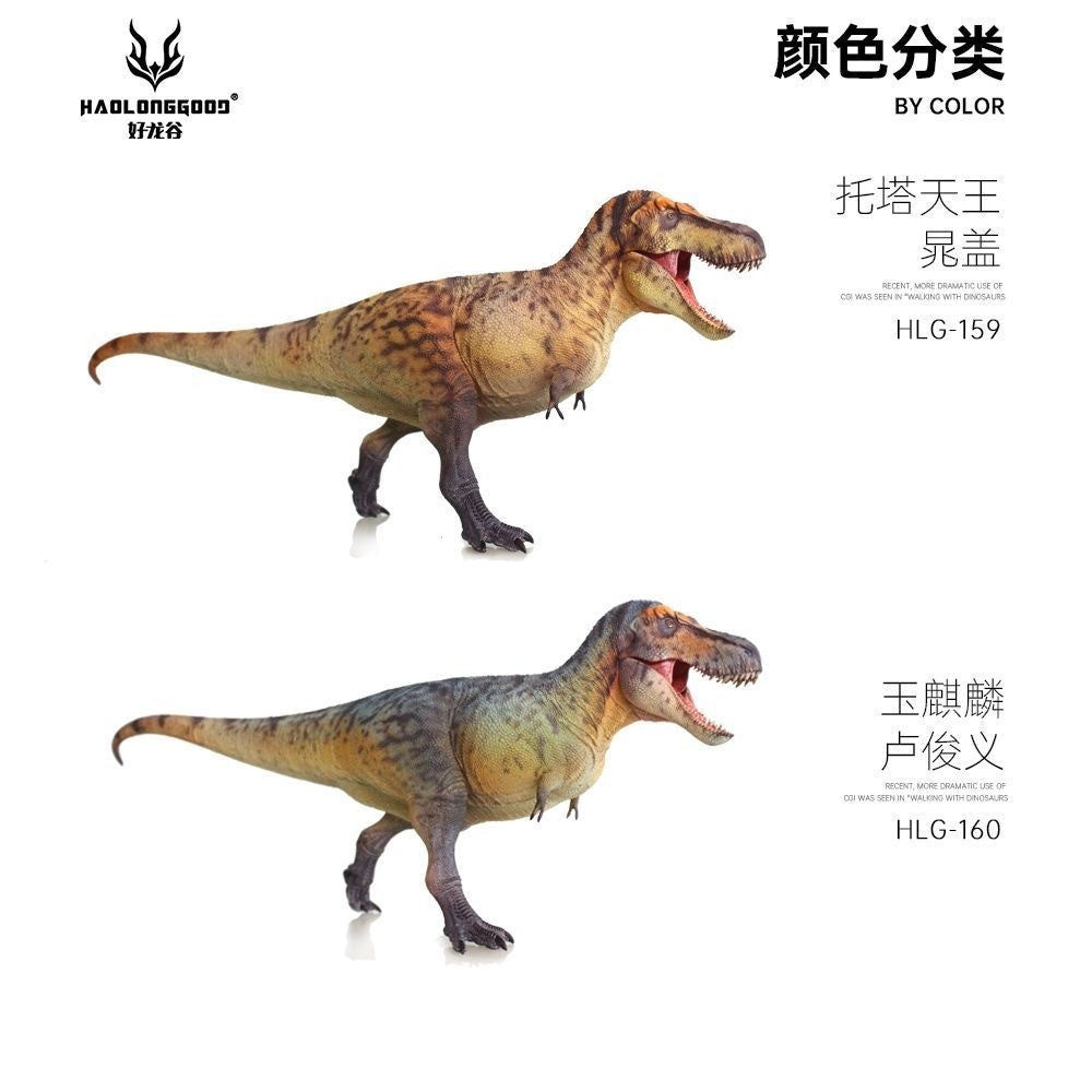 HLG 159-160 Tyrannosaurus rex Haolonggood modello dinosauro 1:35  2 colorazioni