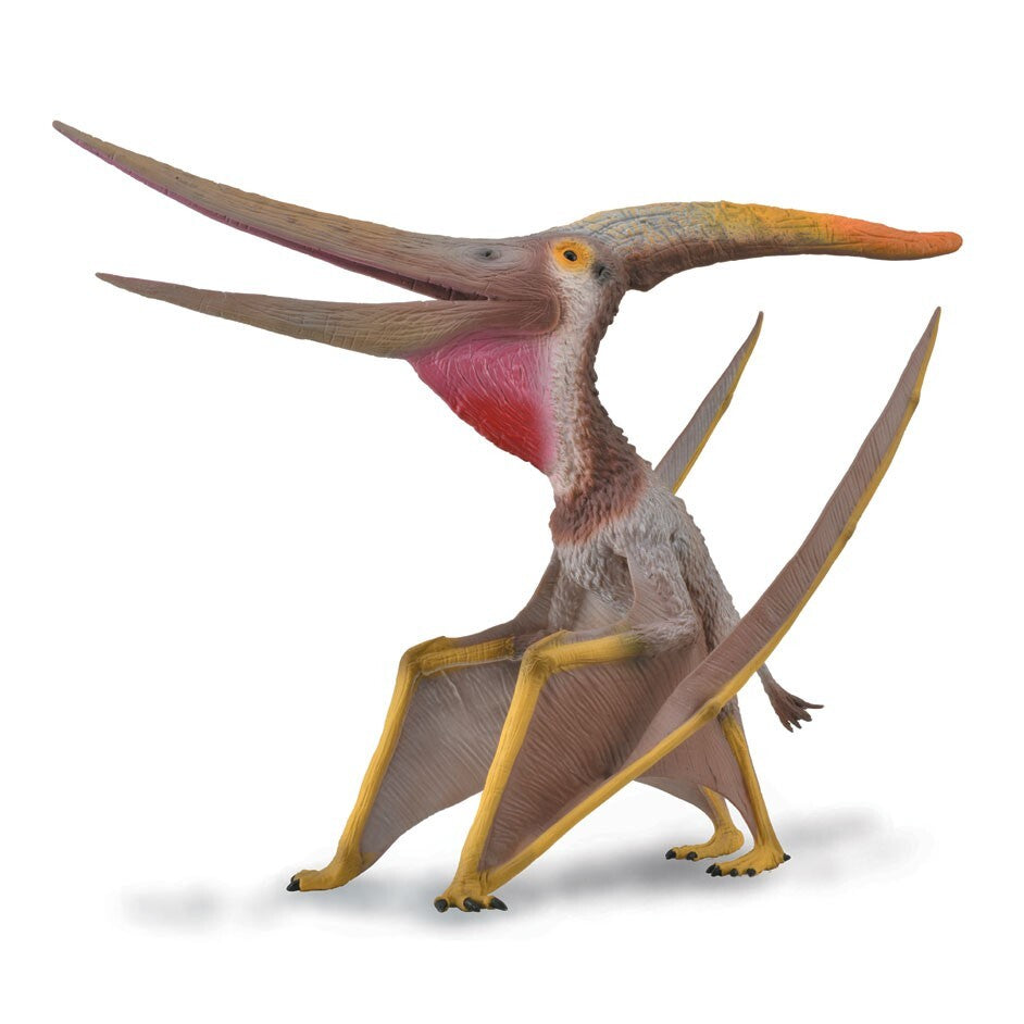 CollectA 88912 Pteranodon Deluxe 1:15 scale Model pterosauro mandibola movibile