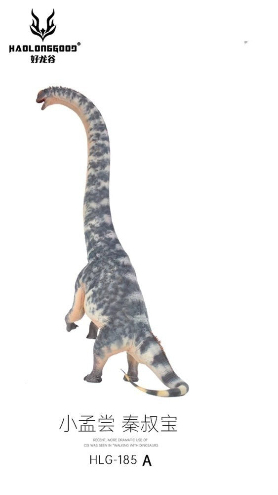 Haolonggood 185a Sauroposeidon -Qing Shu Bao - modello di dinosauro scala 1:35