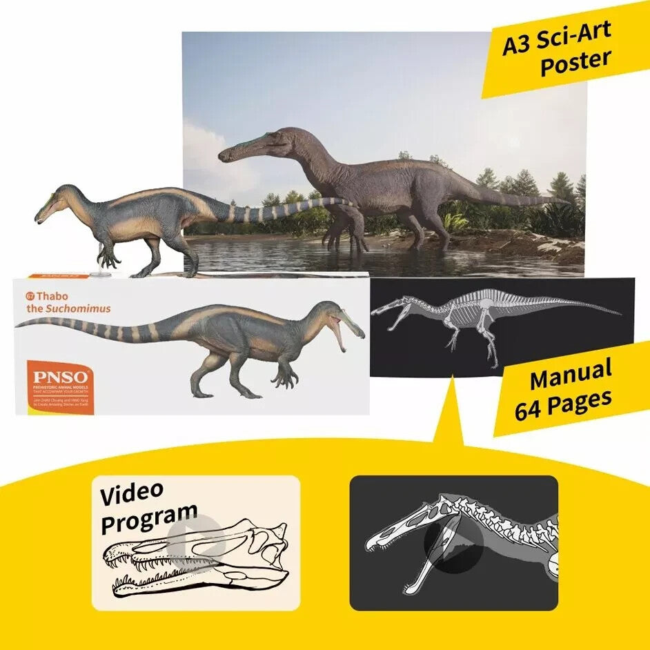 PNSO 2022 Thabo il Suchomimus - dinosauro in scala 1:35 - mandibola mobile