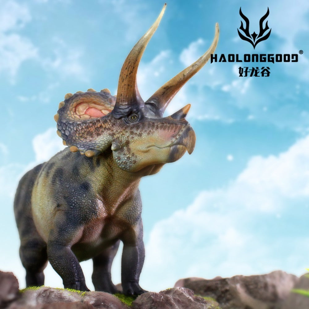 HLG 127-128 Triceratops Haolonggood - modello dinosauro 1:35 - 2 colorazioni