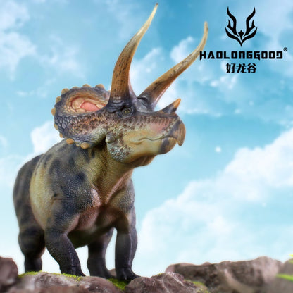 HLG 127-128 Triceratops Haolonggood - modello dinosauro 1:35 - 2 colorazioni