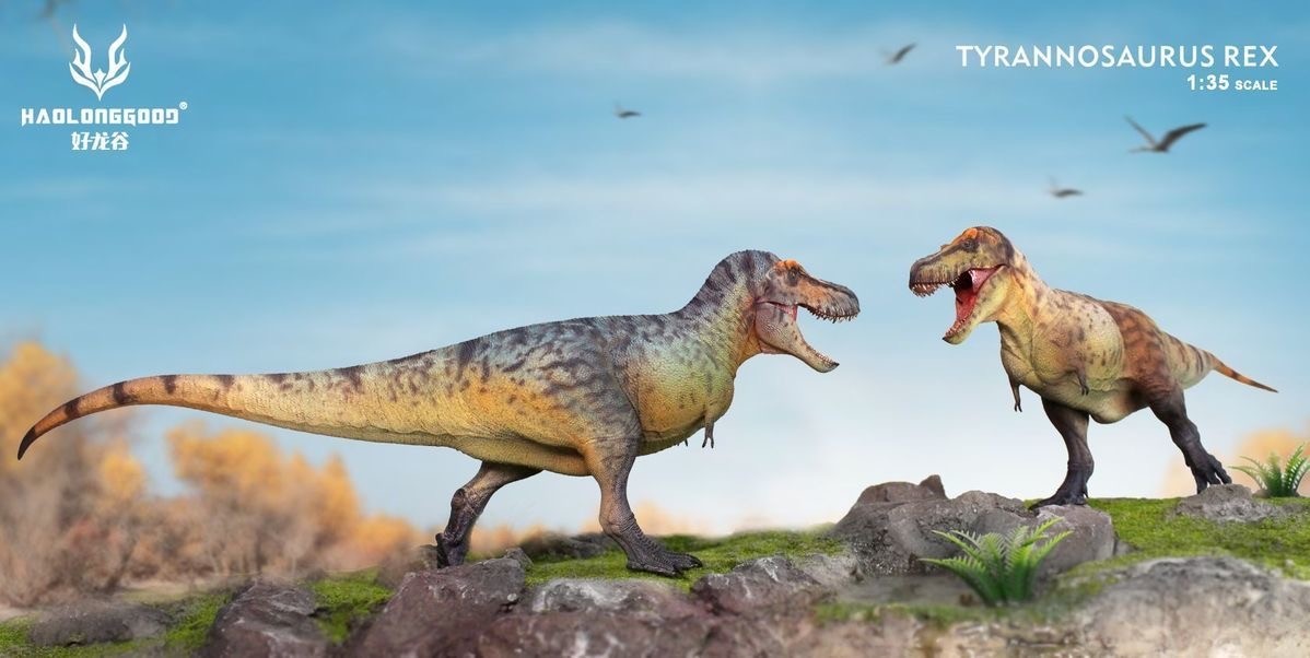HLG 159-160 Tyrannosaurus rex Haolonggood modello dinosauro 1:35  2 colorazioni