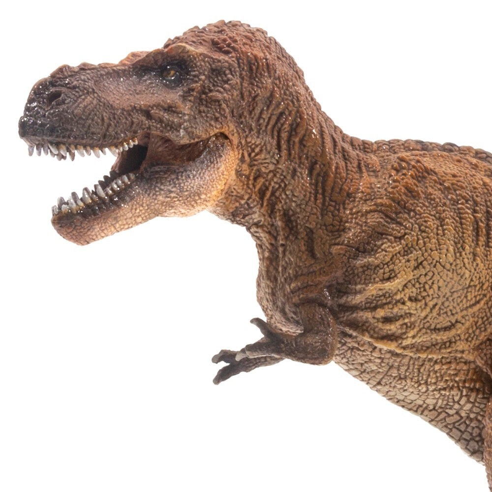 PNSO Wilson the Tyrannosaurus rex - dinosauro in scala 1:35 - mandibola mobile