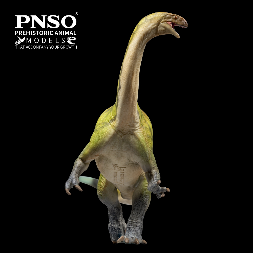 PNSO 2024 Yiran il Lufengosaurus - modello di dinosauro prosauropode