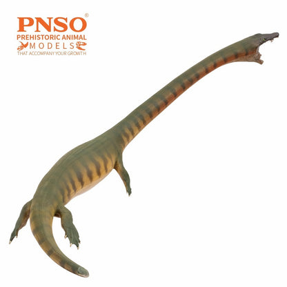 PNSO 2025 Xiaochong the Dinocephalosaurus - modello di rettile marino