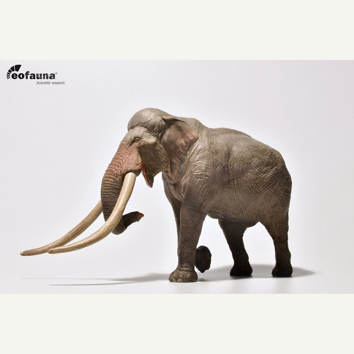 Eofauna 02 Straight-tusked elephant Palaeoloxodon