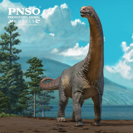 PNSO 2024 Njor il Camarasaurus dinosauro in scala 1:35