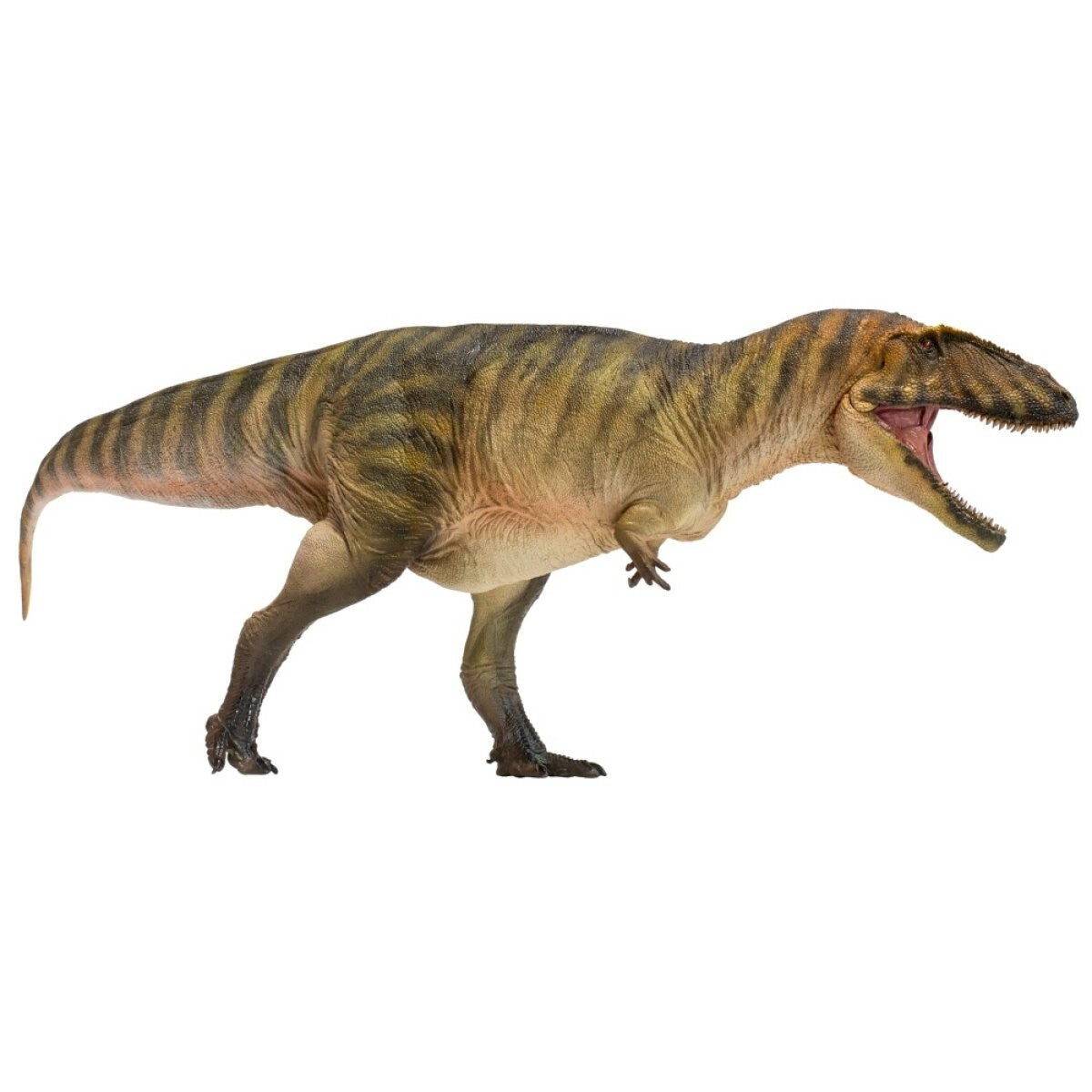 PNSO 2021 Gamba Carcharodontosaurus dinosauro in scala 1:35 - mandibola mobile