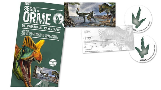 Cartolina + adesivi Segui le orme: Dilophosaurus / Kayentapus