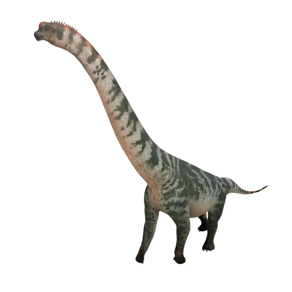 HLG 158 Brachiosaurus Haolonggood Du-Qian - modello di dinosauro scala 1:35